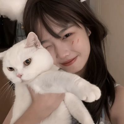 创造与魔法360手机版下载