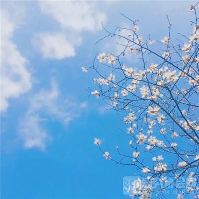 九游烽火攻城游戏下载
